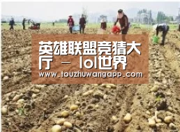 种植基地一