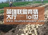 种植基地八