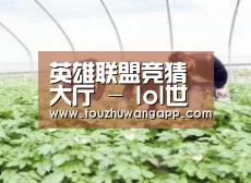 种植基地三