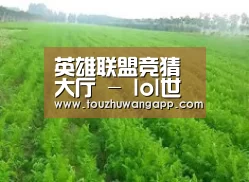 种植基地四