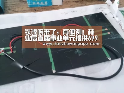 LoL投注网站直播