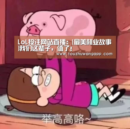 LoL投注网站直播