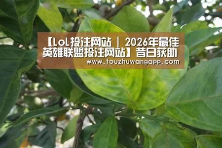LoL投注网站直播