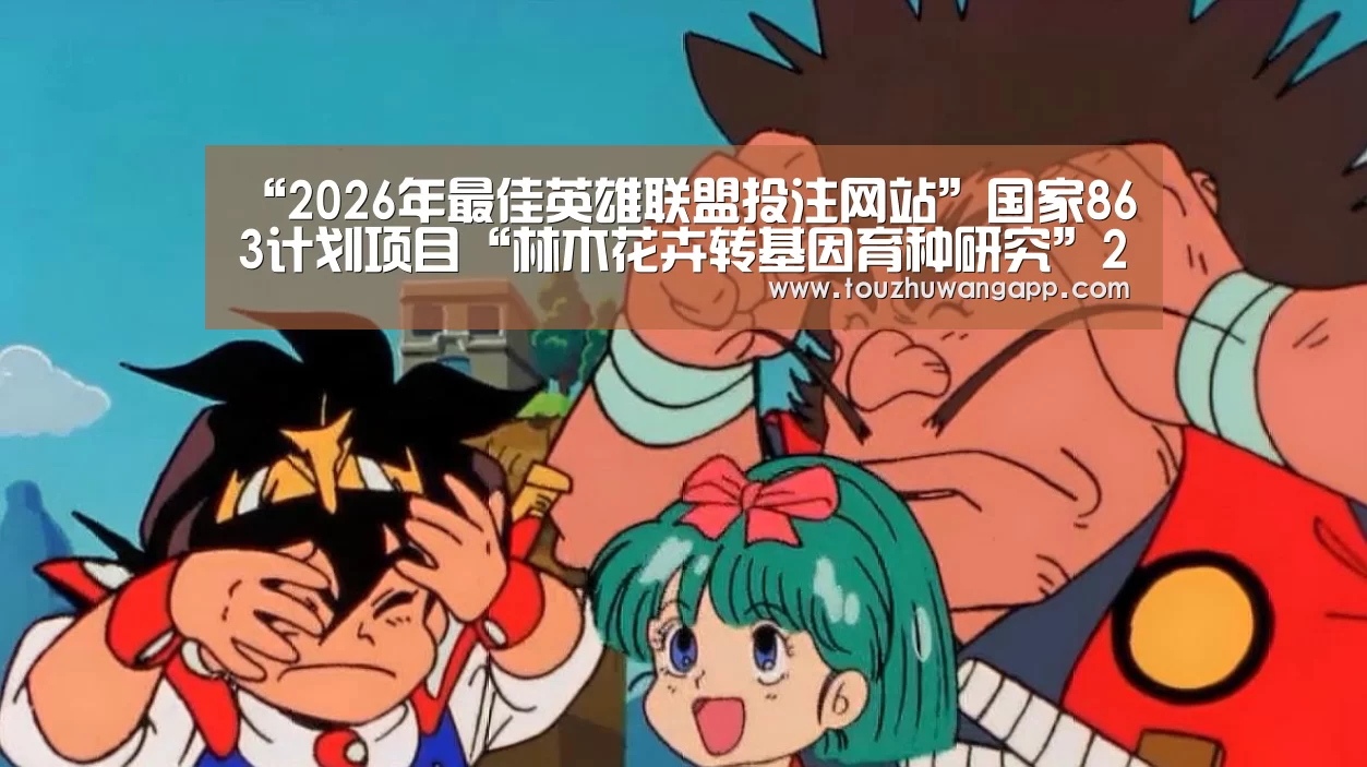 LoL投注网站官网