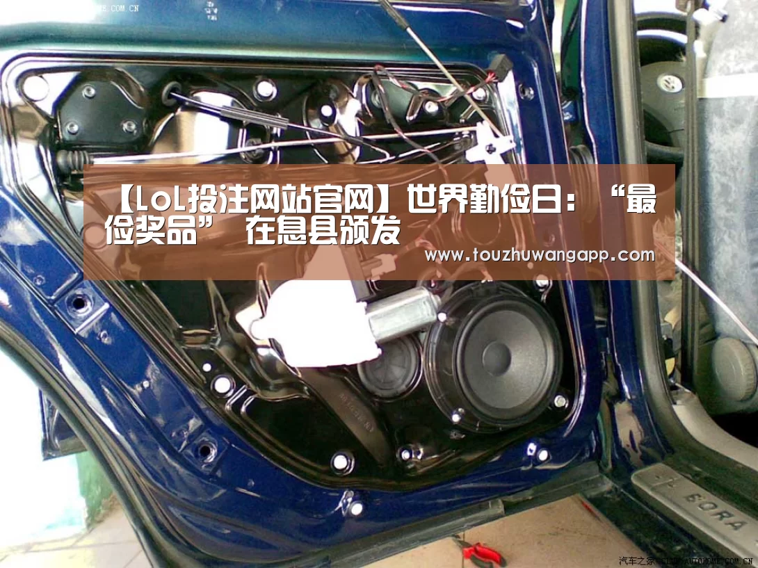 LoL投注网站直播